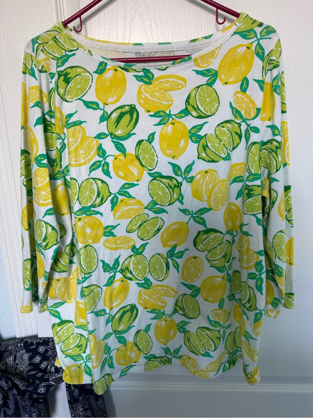 Talbots Yellow and Green Citrus Print Tee